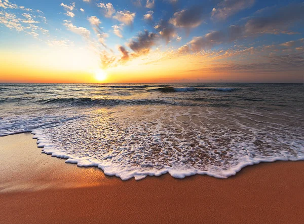 Bella Alba Tropicale Sulla Spiaggia — Foto Stock