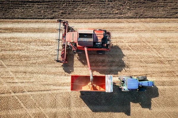 Colourful combine harvester working a wheat field with a tractor and trailer moving alongside. 