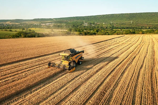 Aerial Drone View Combine Harvesters Working Wheat Field Sunset — Φωτογραφία Αρχείου