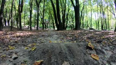 Amatör yarışçı sonbahar sezonunda MTB bisikleti sürüyor.