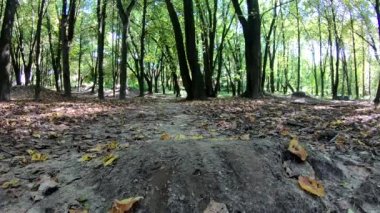 Amatör yarışçı sonbahar sezonunda MTB bisikleti sürüyor.