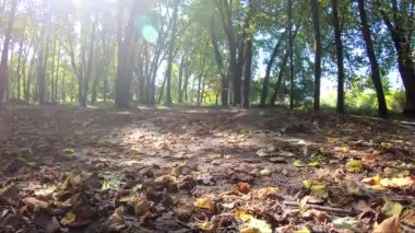 Amatör yarışçı sonbahar sezonunda MTB bisikleti sürüyor.