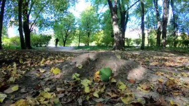 Amatör yarışçı sonbahar sezonunda MTB bisikleti sürüyor.