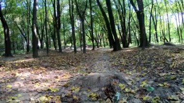 Amatör yarışçı sonbahar sezonunda MTB bisikleti sürüyor.