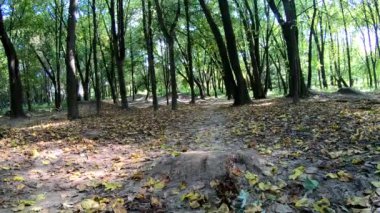 Amatör yarışçı sonbahar sezonunda MTB bisikleti sürüyor.