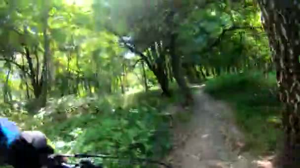 秋天的小径上骑Mtb自行车的业余骑手 — 图库视频影像