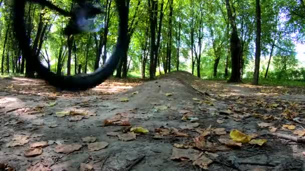 Cavalier Amateur Sur Vélo Vtt Sur Les Sentiers Automne — Video