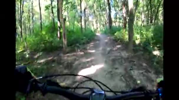 Amateur Rider Mtb Bicycle Trails Autumn Season — Stock Video