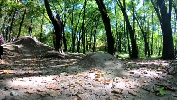 Jinete Aficionado Bicicleta Mtb Los Senderos Temporada Otoño — Vídeo de stock