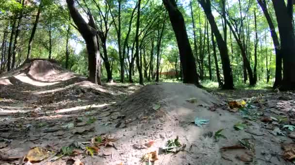 Jinete Aficionado Bicicleta Mtb Los Senderos Temporada Otoño — Vídeo de stock