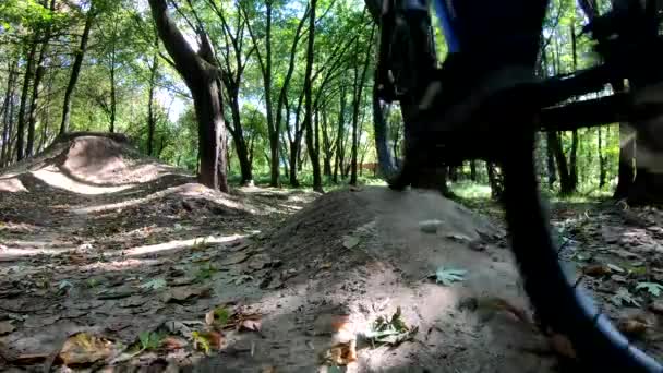 Hobbyfahrer Mit Dem Mtb Rad Der Herbstsaison Auf Den Trails — Stockvideo