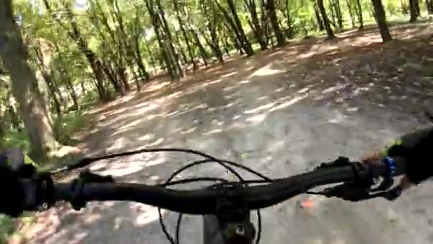 Amateur Rider Mtb Bicycle Trails Autumn Season — Stock Video