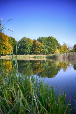 Sonbahar mevsiminde şehir parkında güzel bir göl.