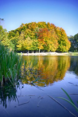 Sonbahar mevsiminde şehir parkında güzel bir göl.