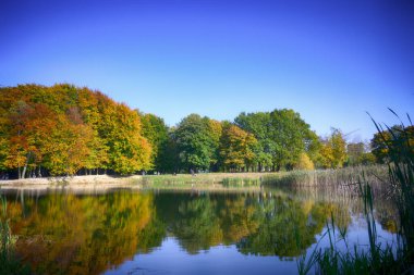 Sonbahar mevsiminde şehir parkında güzel bir göl.