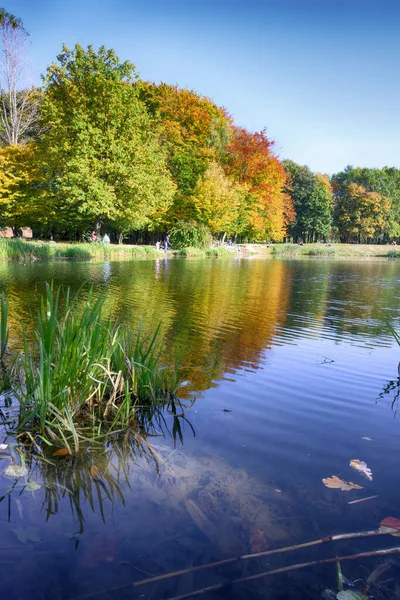 Lindo Lago Parque Cidade Temporada Outono — Fotografia de Stock