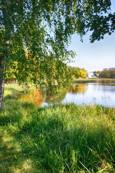 Прекрасне Озеро Міському Парку Осінній Сезон — стокове фото
