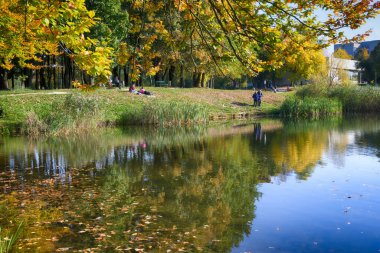 Sonbahar mevsiminde şehir parkında güzel bir göl.