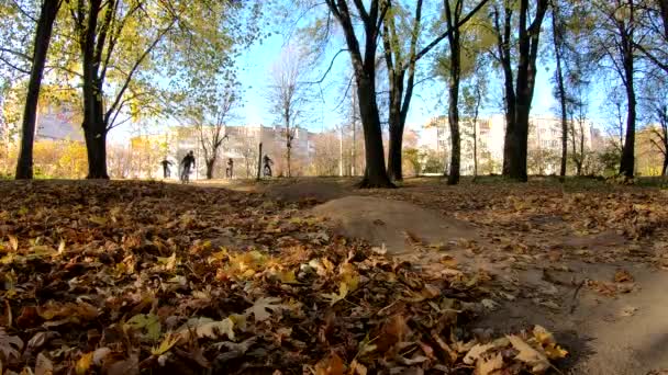 Amateur Enduro Rijder Fiets Het Voorjaar — Stockvideo