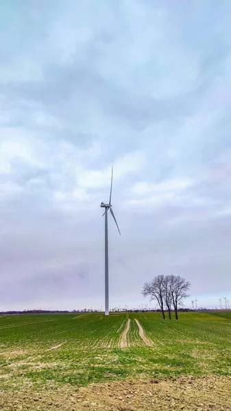 Mavi gökyüzü ve turbo jeneratörle elektrik rüzgar türbini üretiliyor.