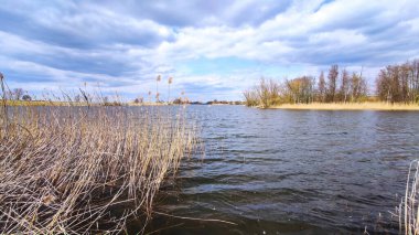 Ağaçları ve mükemmel bulutlu gökyüzü olan vahşi göl manzarası