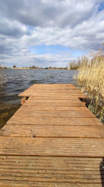 Ağaçları ve mükemmel bulutlu gökyüzü olan vahşi göl manzarası