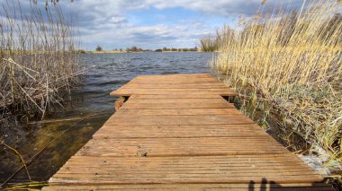 Ağaçları ve mükemmel bulutlu gökyüzü olan vahşi göl manzarası