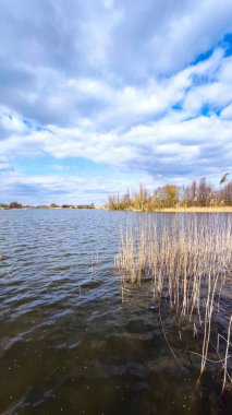 Ağaçları ve mükemmel bulutlu gökyüzü olan vahşi göl manzarası