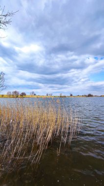 Ağaçları ve mükemmel bulutlu gökyüzü olan vahşi göl manzarası