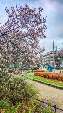 Polonya 'nın Szczecin şehrindeki eski şehir mimarisi