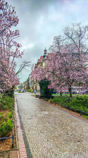 Óváros Építészet Lengyelországban Ország Szczecin Város — Stock Fotó