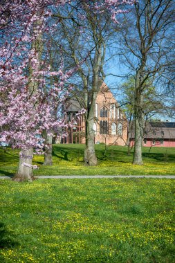 Polonya 'nın Szczecin şehrindeki eski şehir mimarisi