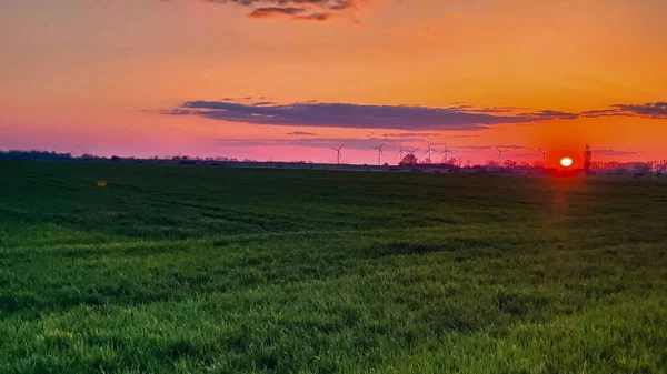 Sonnenuntergang Auf Dem Acker Frühling — Stockfoto