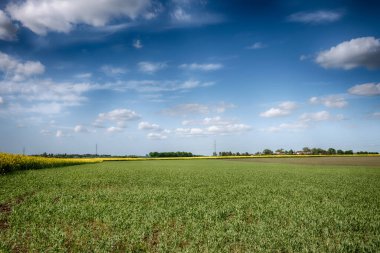 Güneşli bir günde, gökyüzünde bulutlar olan mükemmel tarlalar.