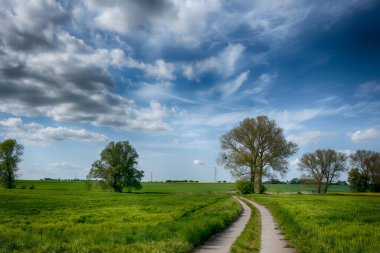 Güneşli bir günde, gökyüzünde bulutlar olan mükemmel tarlalar.