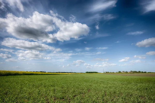 Paisagem Perfeita Campos Dia Ensolarado Com Nuvens Perfeitas Céu — Fotografia de Stock