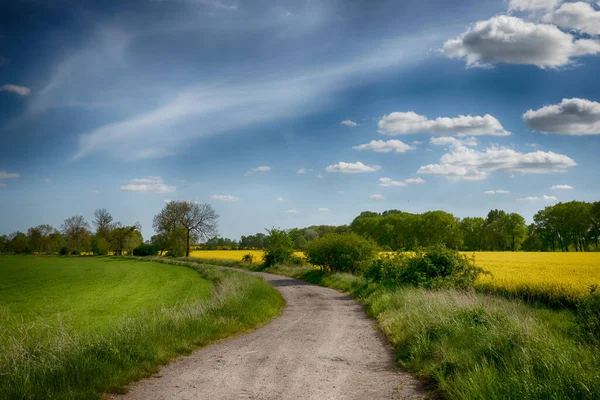 Güneşli bir günde, gökyüzünde bulutlar olan mükemmel tarlalar.