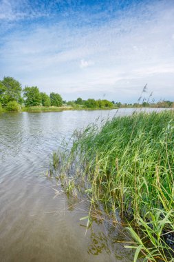 Yaz mevsiminde bulutlu bir göl.