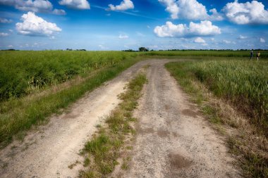 Tarım arazisi güneşli bir günde bulutlu.