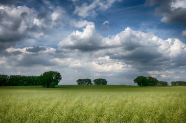 Tarım arazisi güneşli bir günde bulutlu.
