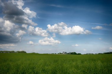 Tarım arazisi güneşli bir günde bulutlu.