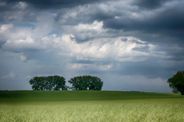 Paisagem Campo Agrícola Com Nuvens Dia Ensolarado — Fotografia de Stock