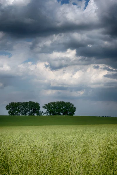 Agricultural Field Landscape Clouds Sunny Day — Foto Stock