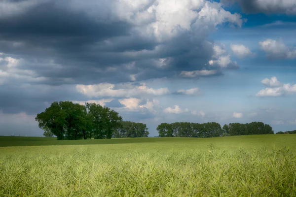 Paisagem Campo Agrícola Com Nuvens Dia Ensolarado — Fotografia de Stock