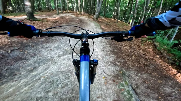 Enduro Bicycle Ride Forest Trails — Stock Photo, Image