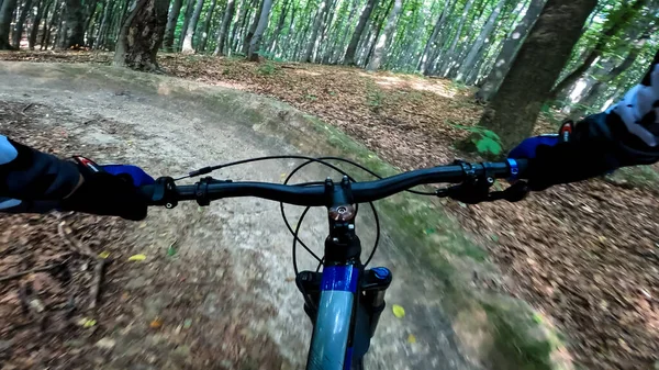 Enduro Radtour Auf Den Waldwegen — Stockfoto