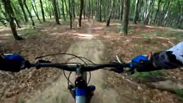 森のトレイルでエンデューロ自転車に乗る — ストック動画