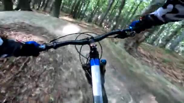 Ендуро Велосипедна Прогулянка Лісових Стежках — стокове відео