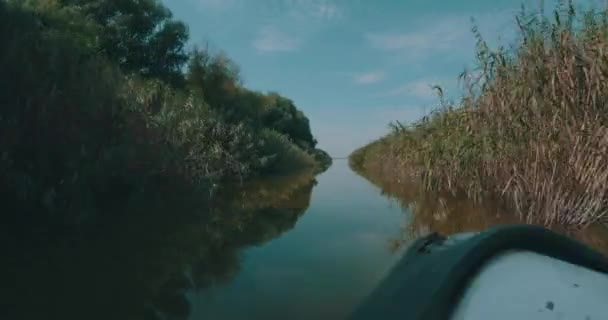 Velocidade Rápida Canal Danúbio — Vídeo de Stock