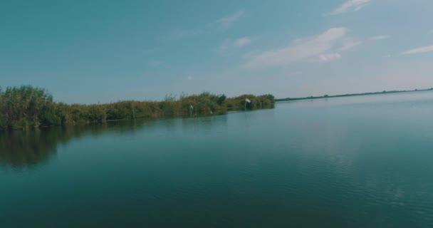 Navegue Nos Lagos Larhe Delta Danúbio — Vídeo de Stock